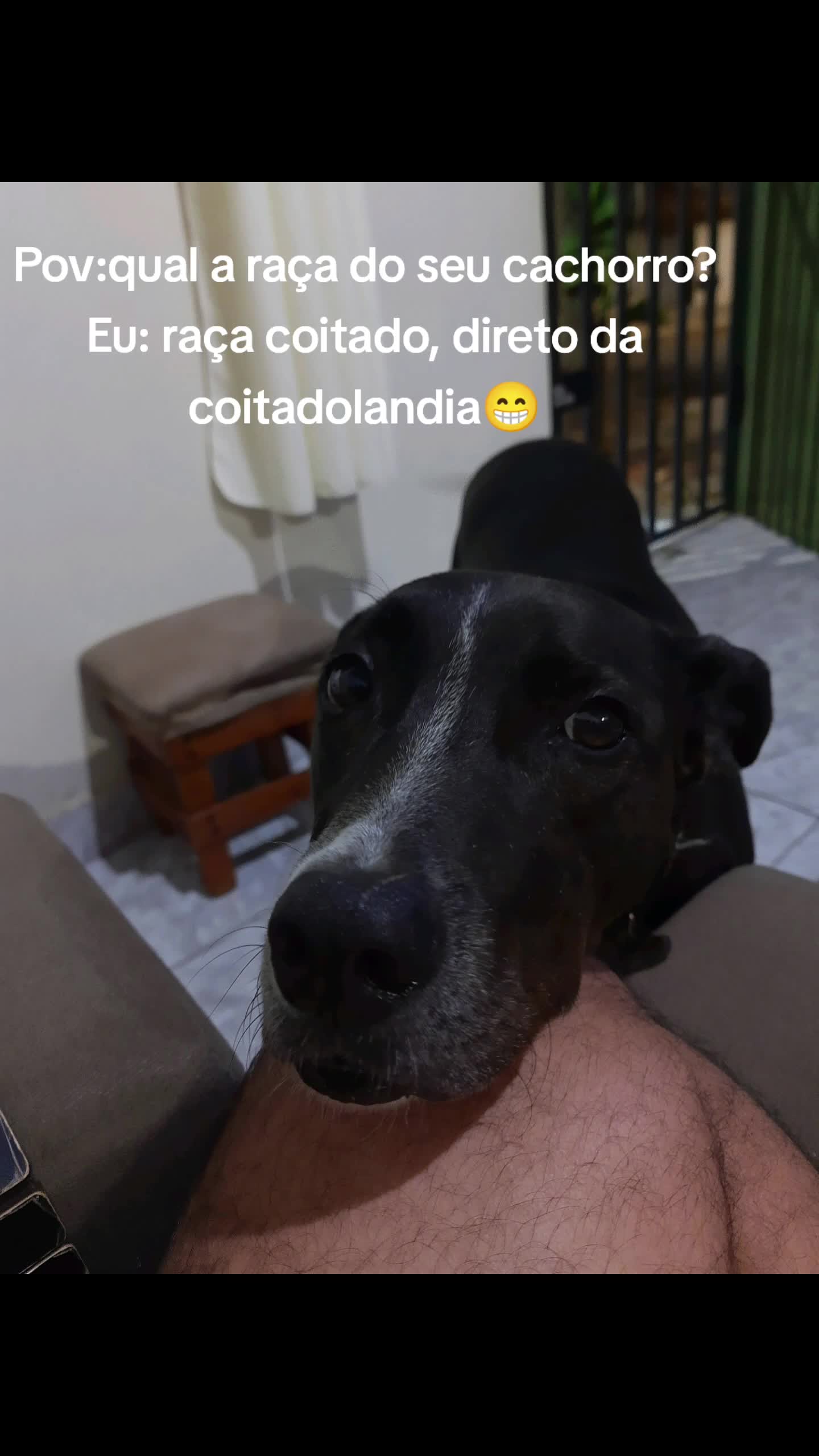 @Eliane Ferreira