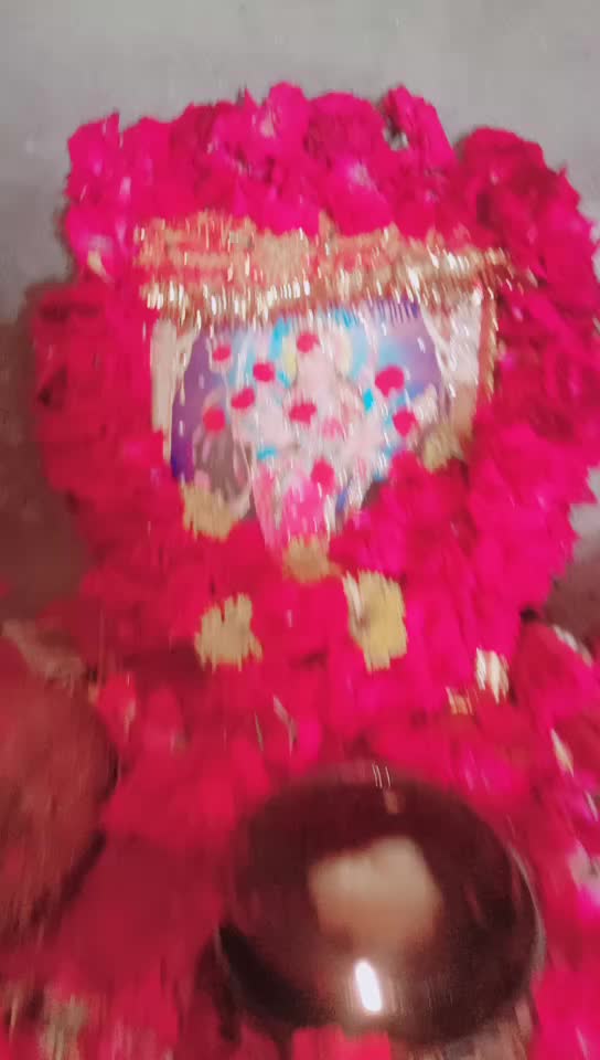 @Ranshodji Thakor
