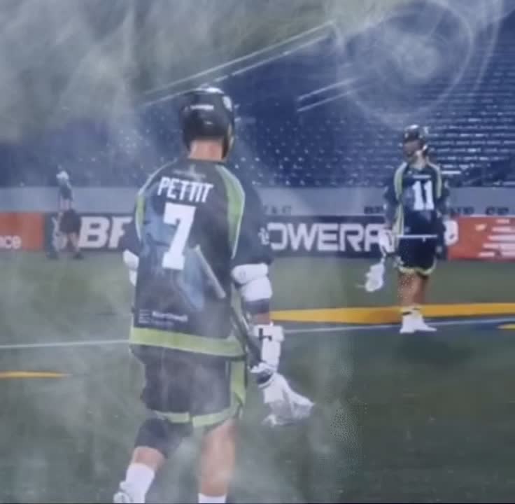 @nylizards