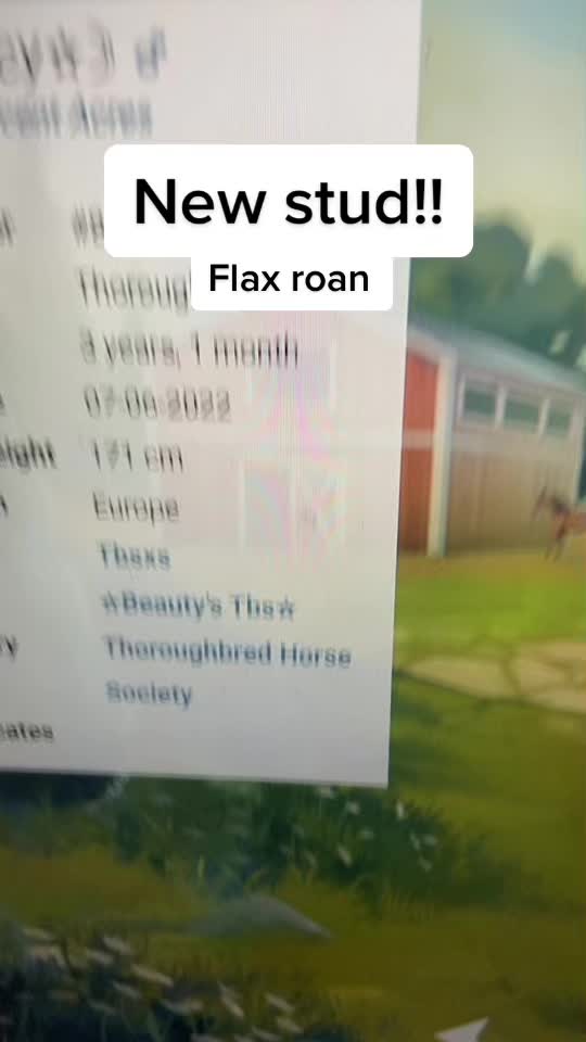 @Horse reality🤍
