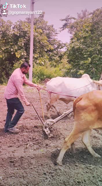 @gopnarayan122