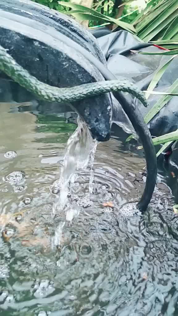 @user21238574269