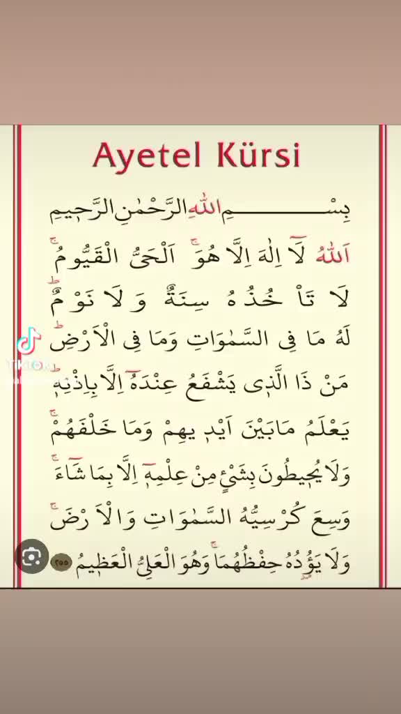@revsan
