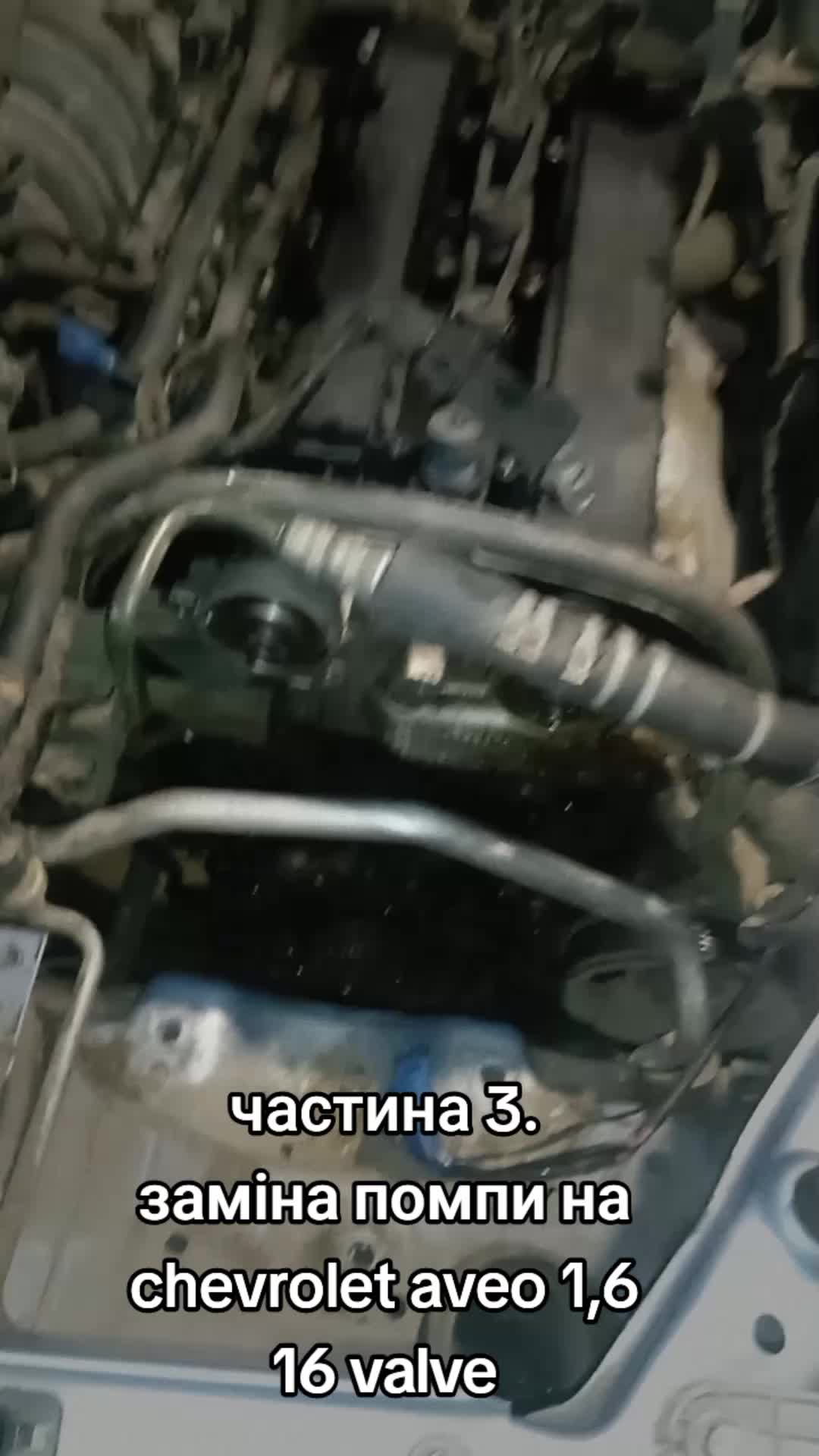 @motor's