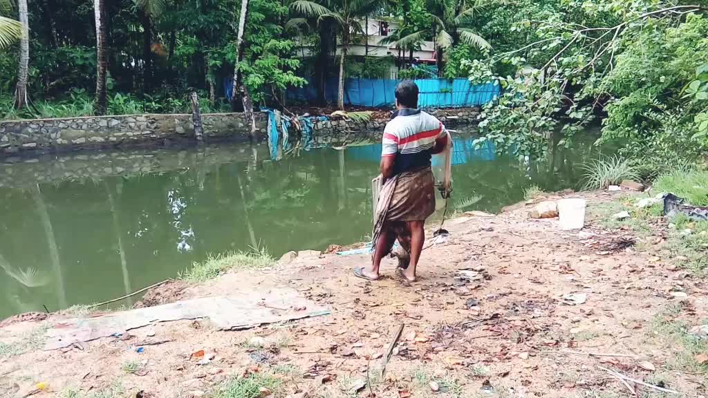 @jibi km jibi