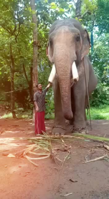 @Sreekuttan