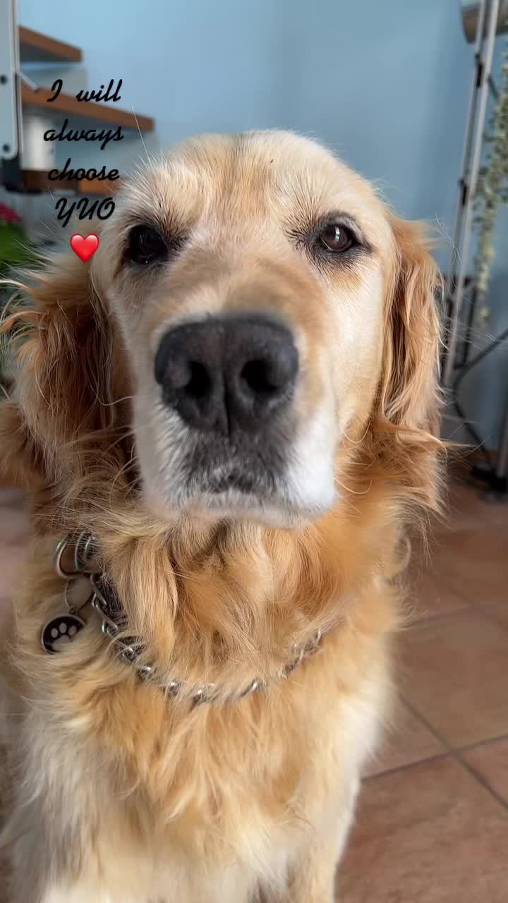 @🐶PENNY🐶