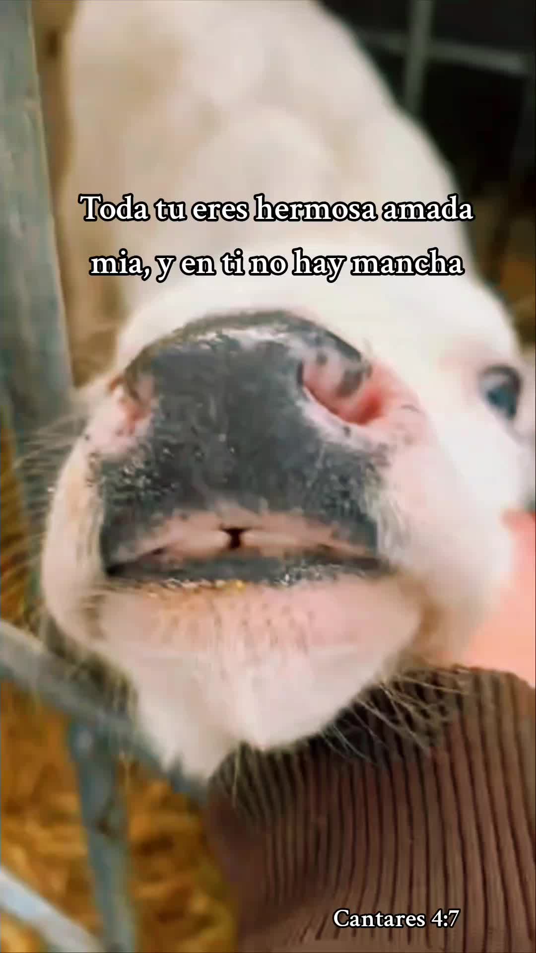 @Gabriella ✝️☦️