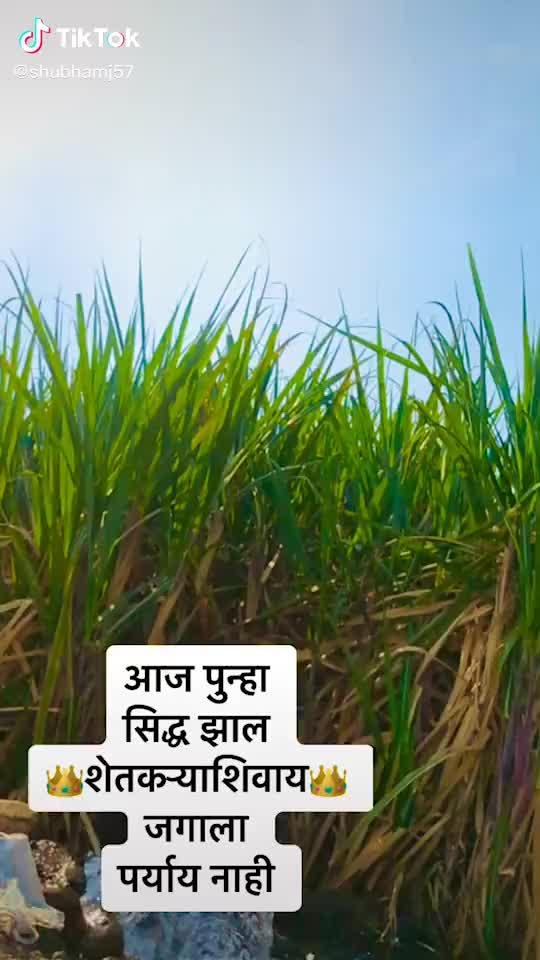 @Tayyab Sk