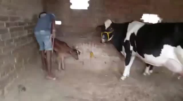 @komalKarhanagujjari