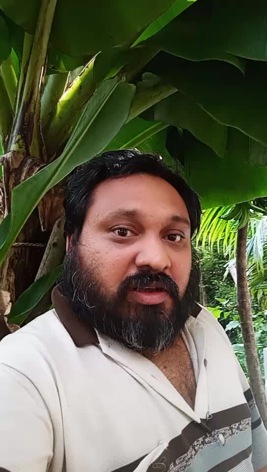 @Heaven of Friendship
