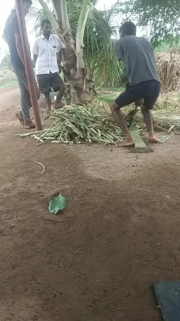 @Basu P Hukkeri