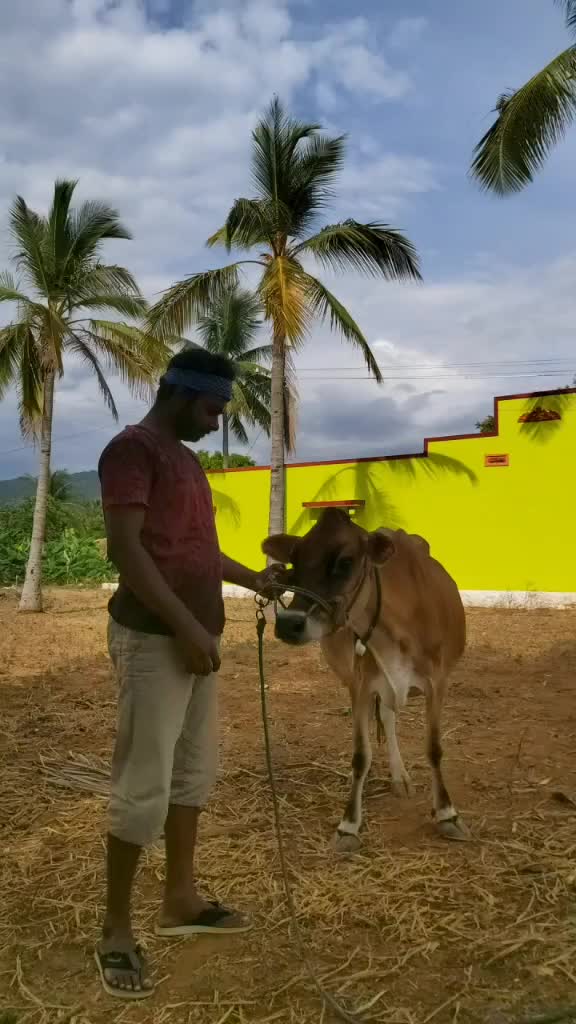 @Prithiviraj Palanisa