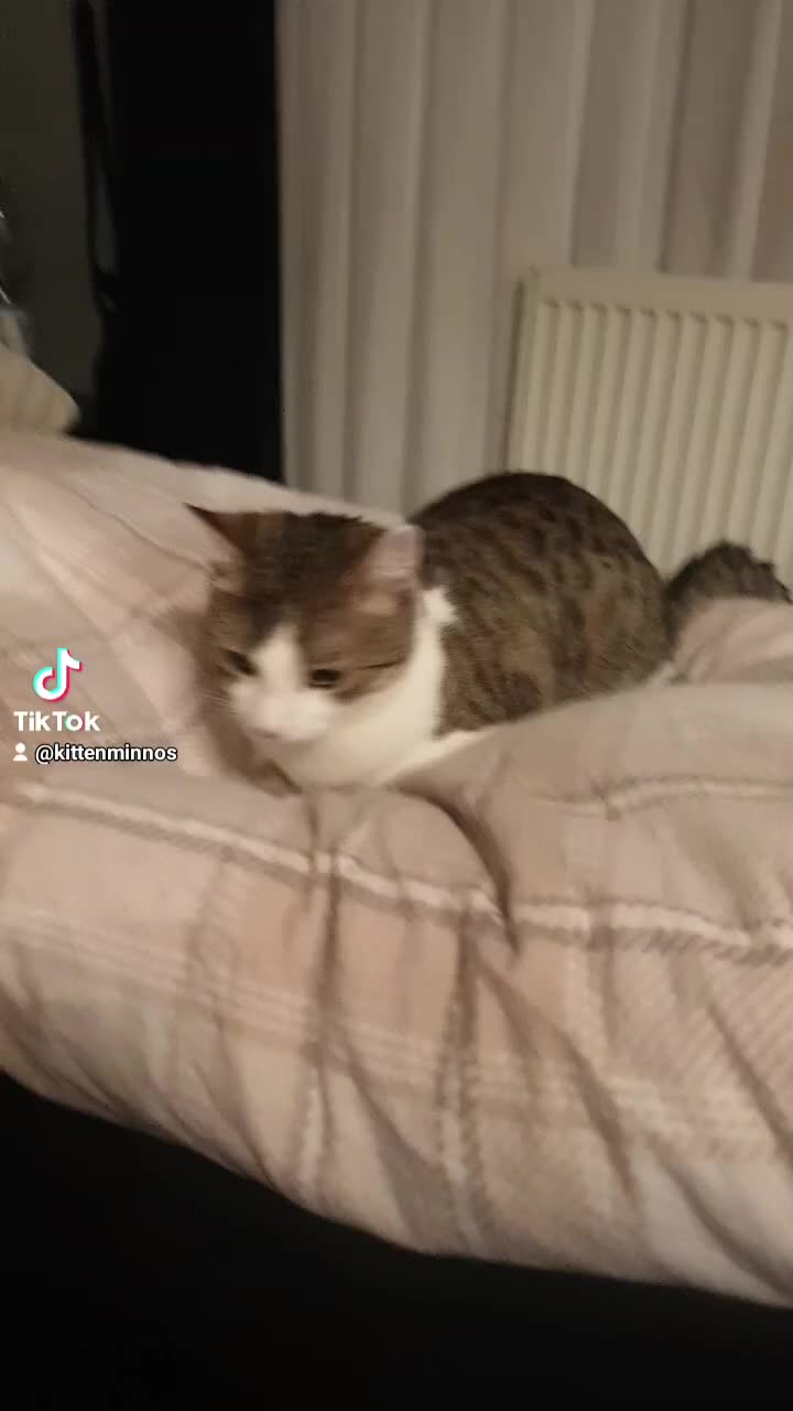 @Minnoş❤💙61