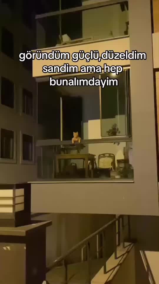 @raphalkitr