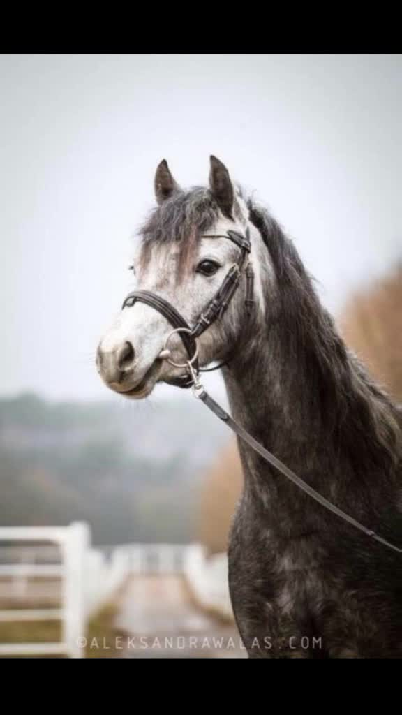 @Kamila Schleich