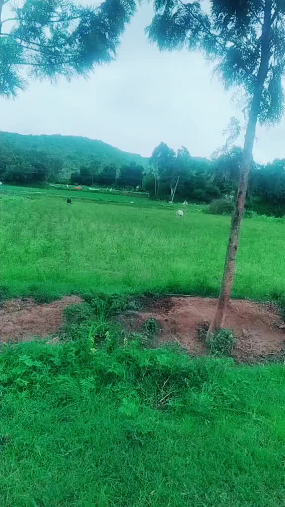 @v.Bhaskar Acharya.