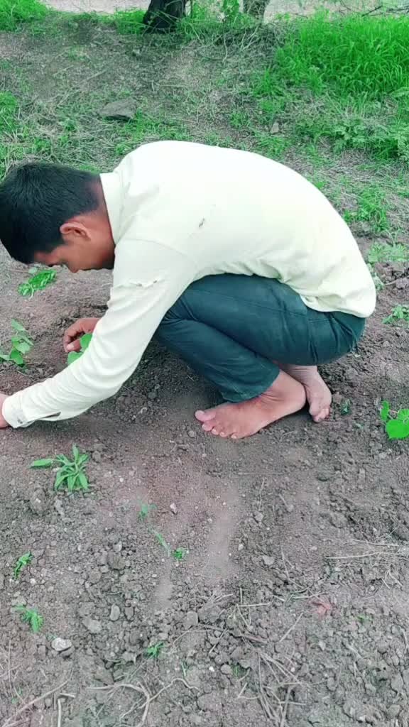 @शेतकरी ज्ञानेश्वर