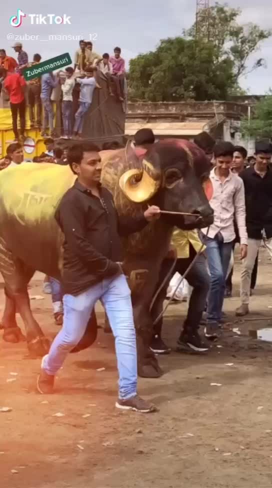 @vijaybheabharvad