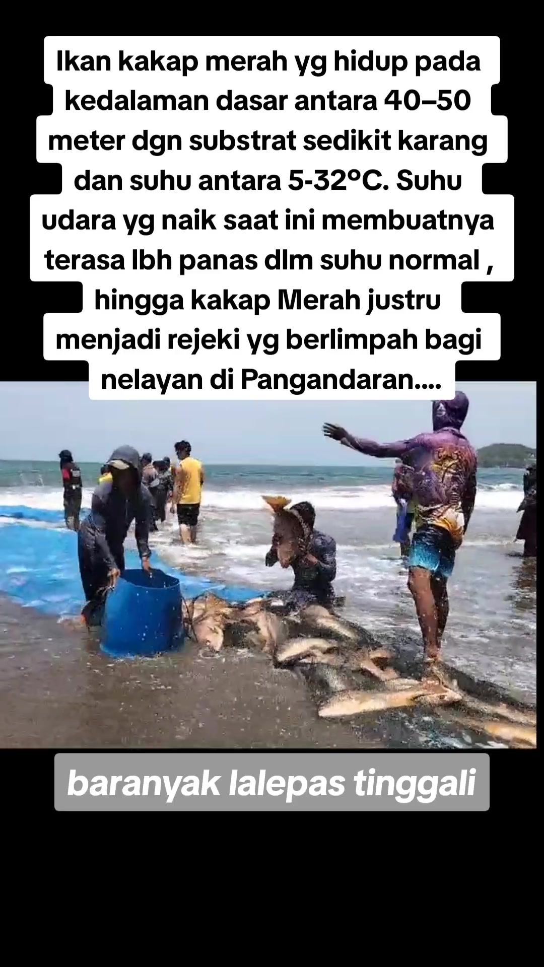 @LaporKangWahyu