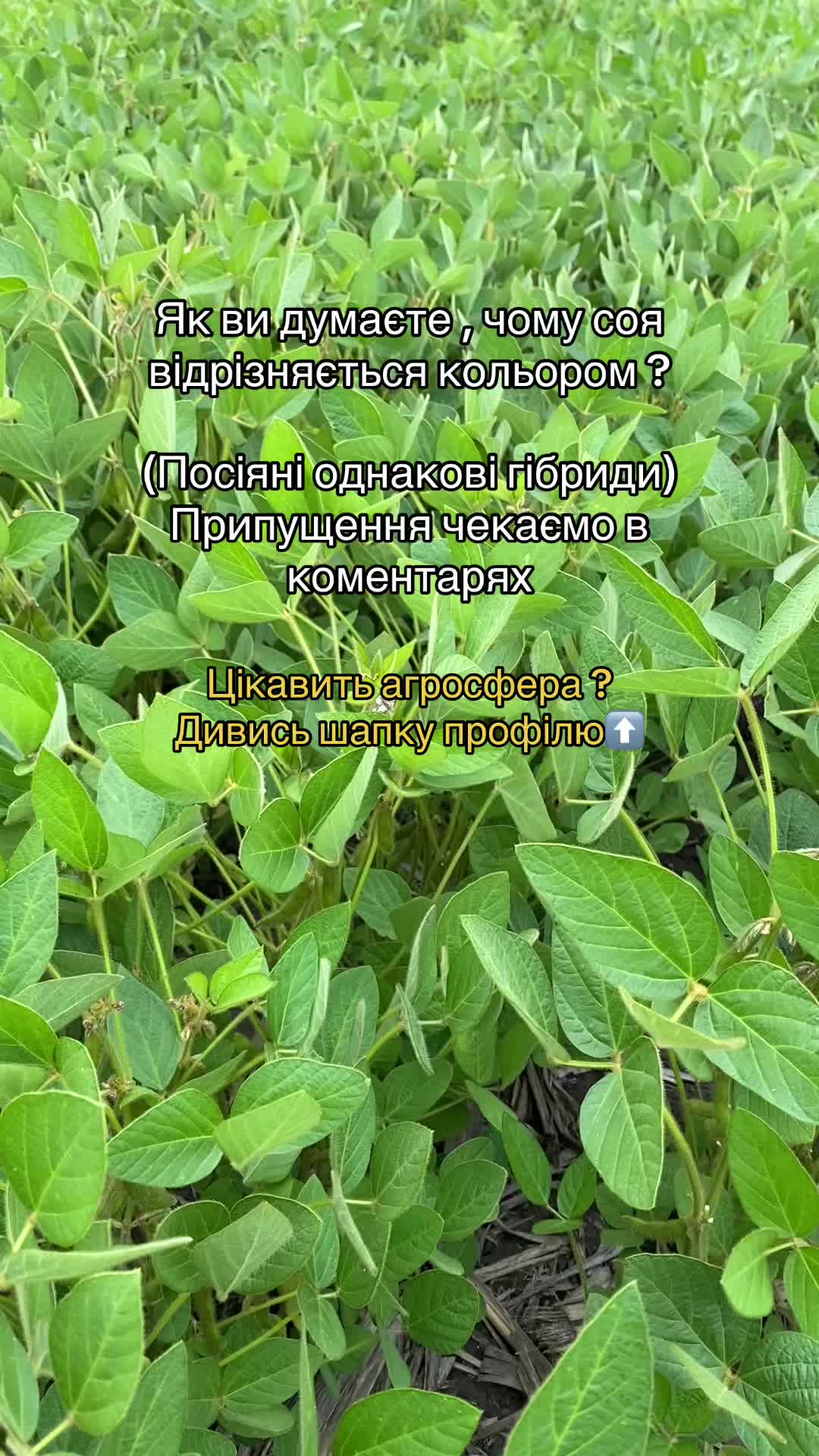 @agro_ua