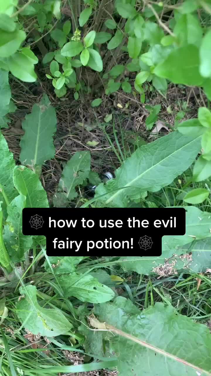 @fairy princess