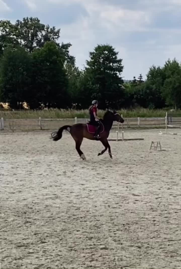 @W🦄