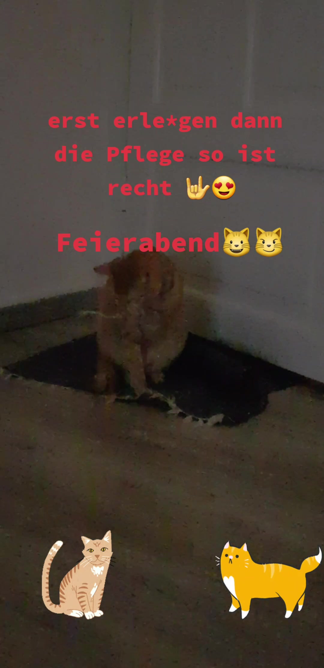@Geowaan