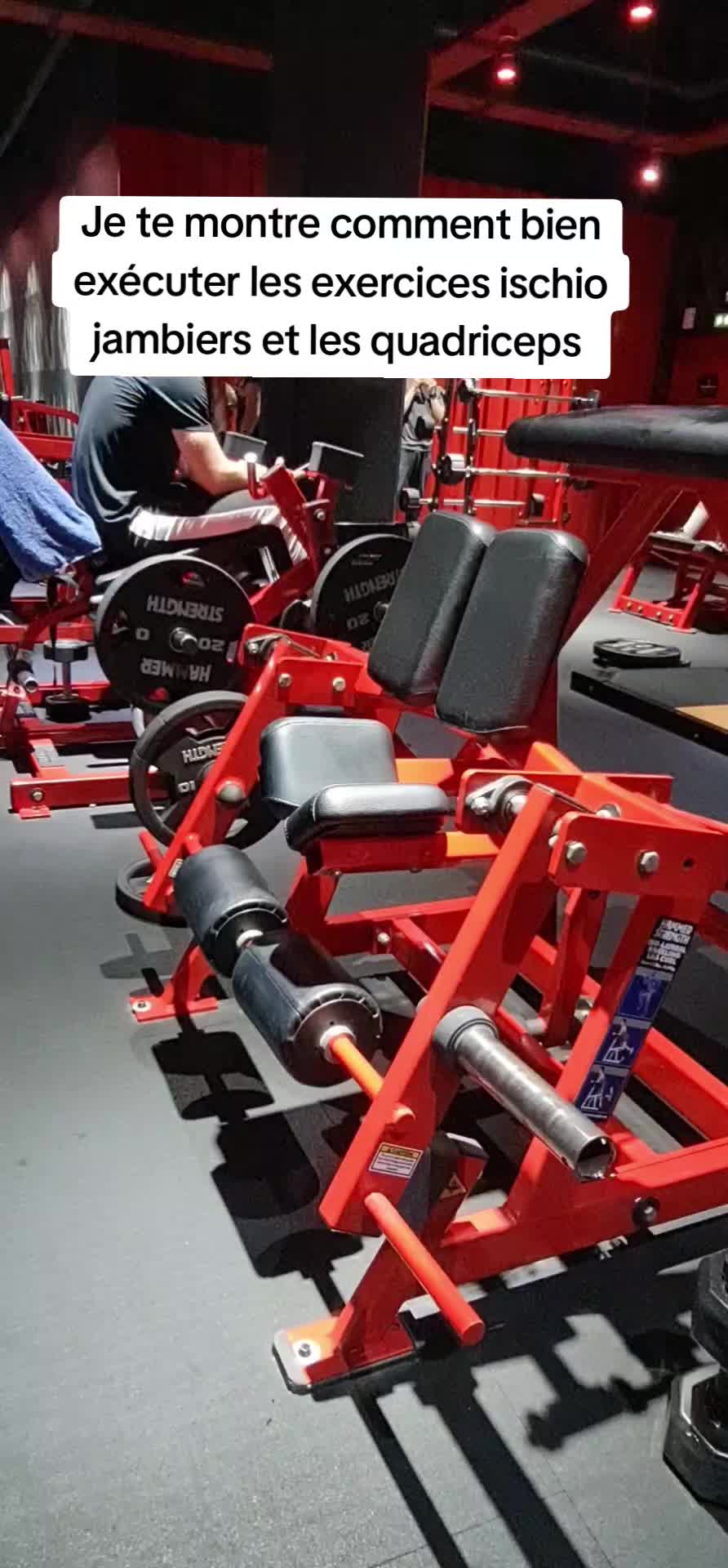 @Musclespirit