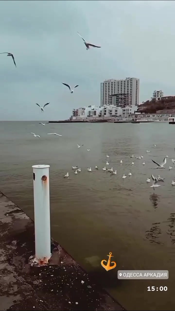 @Стелла Кунянская