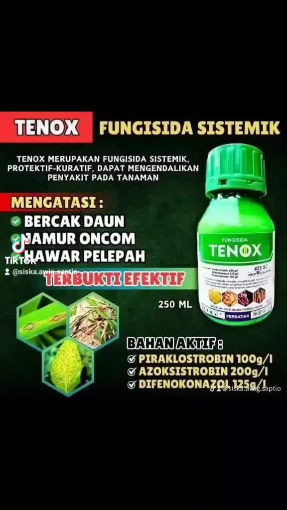 @Awig Shop Jaya Santosa
