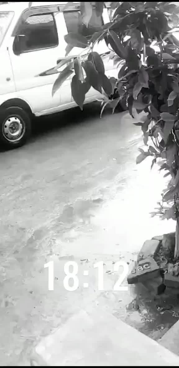 @geetu