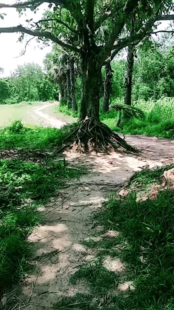 @old_surya_09