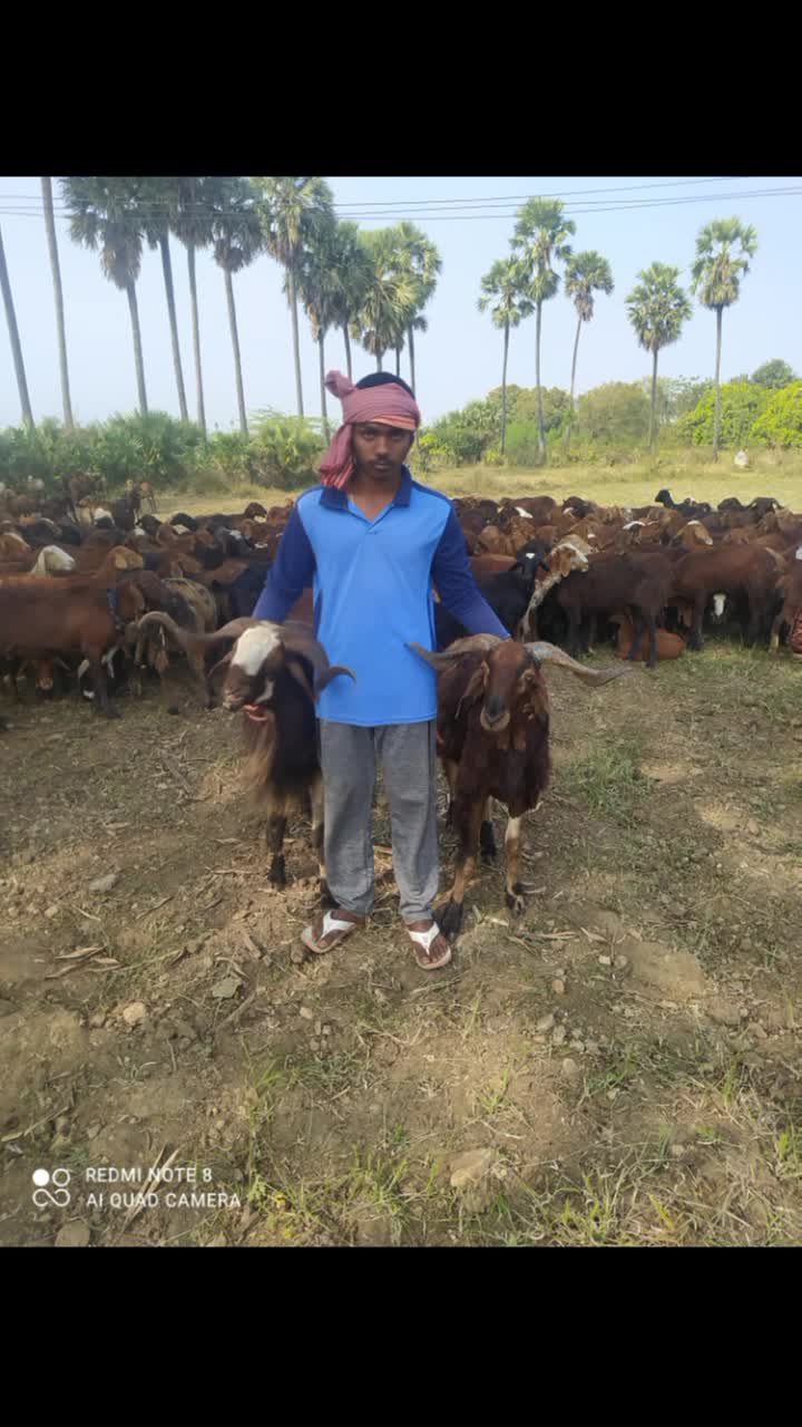 @@ cheeti maheshyadav