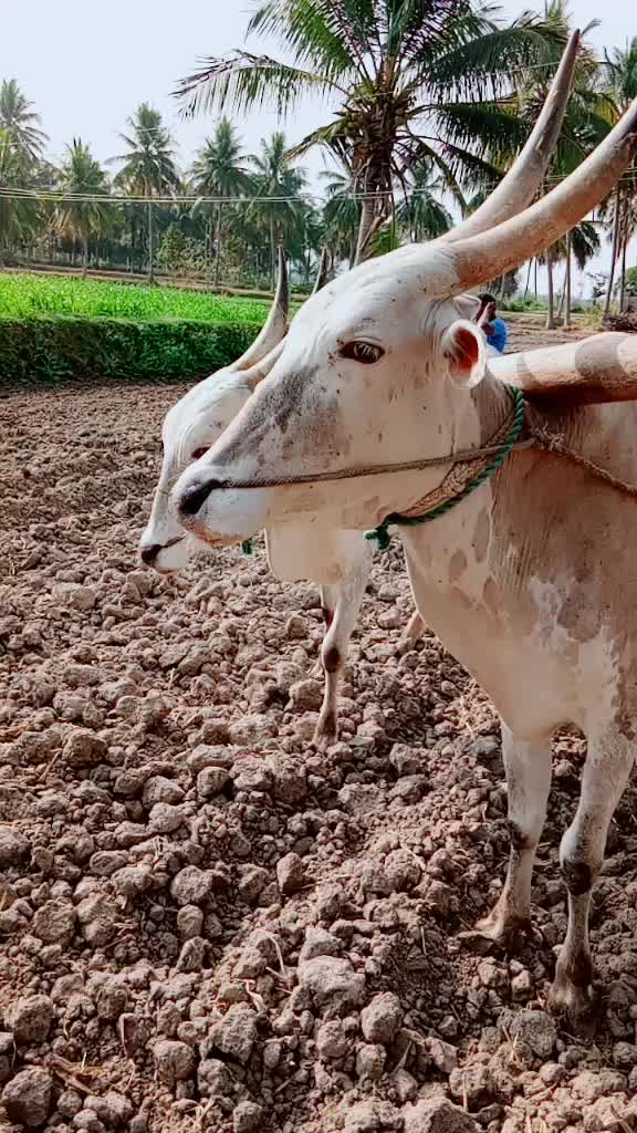 @ப்ரியமுடன் லாேகேஷ்