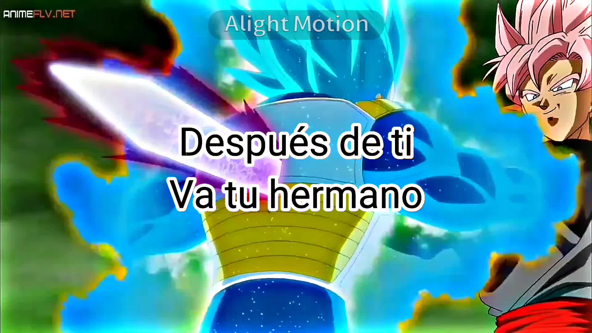 @Goku Black Xeno