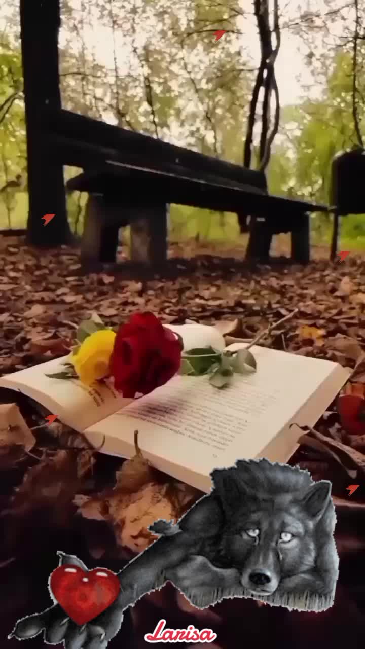 @ЛАРИСА