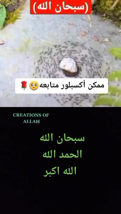 @HassanSwaibuofficial