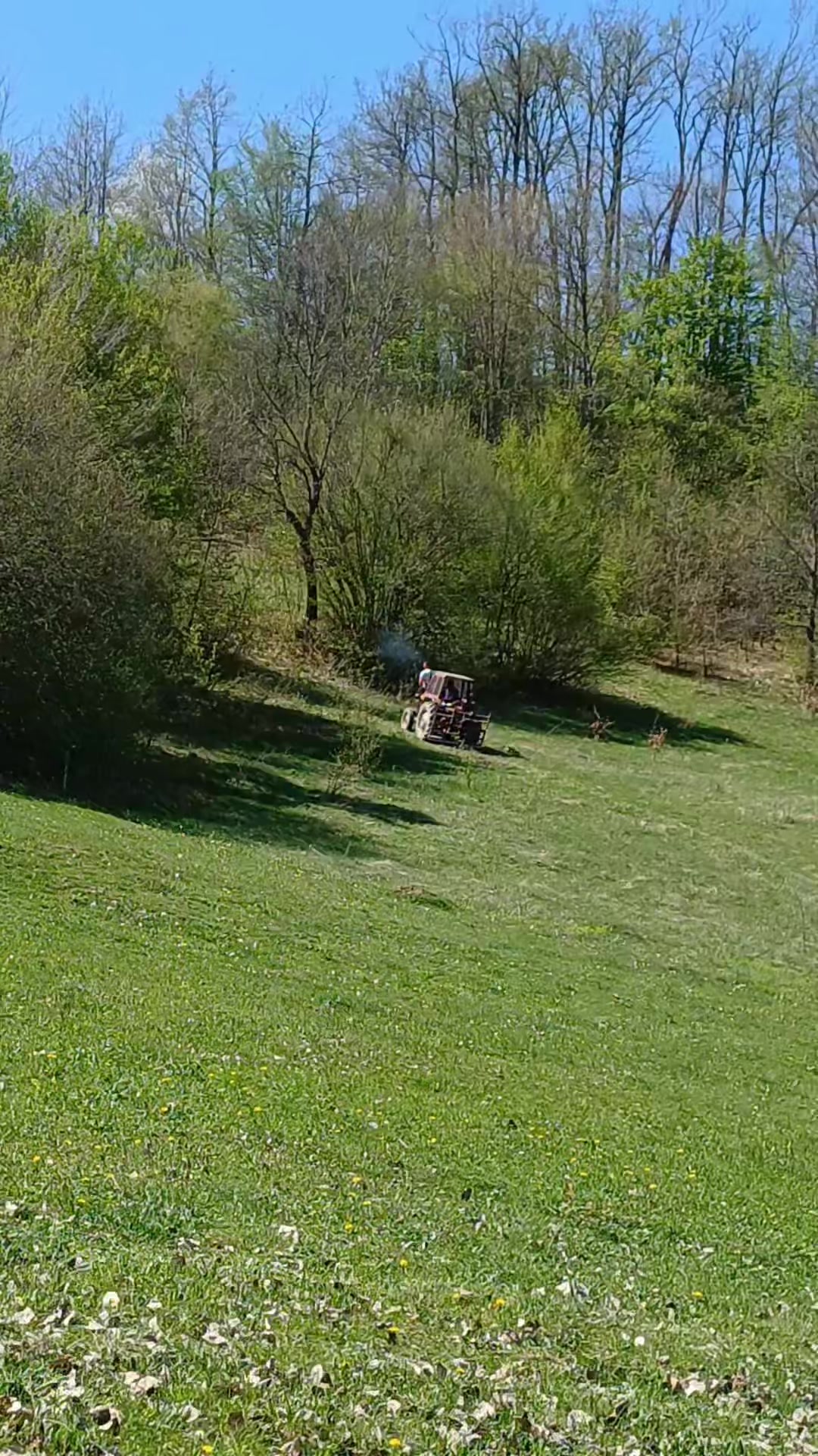 @Sladjan