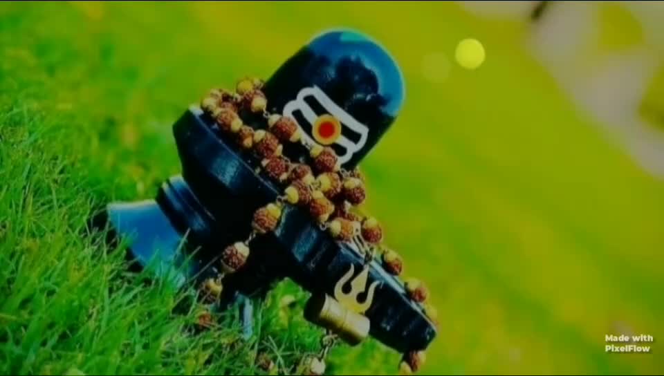 @Rima Kumari Yadav🧚