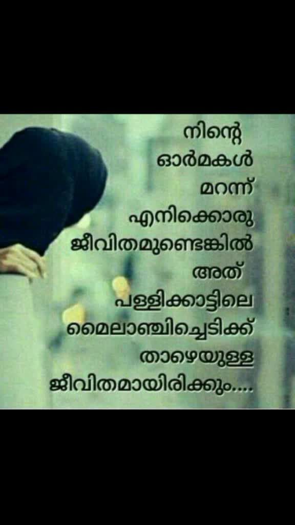 @Safvan 👩❤️👨 Zahru