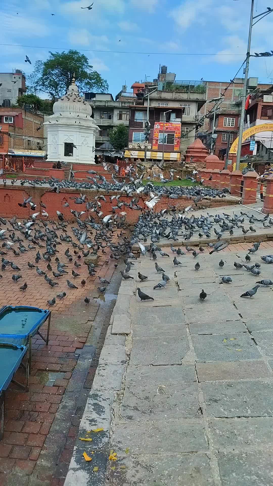 @Sharmila Upreti