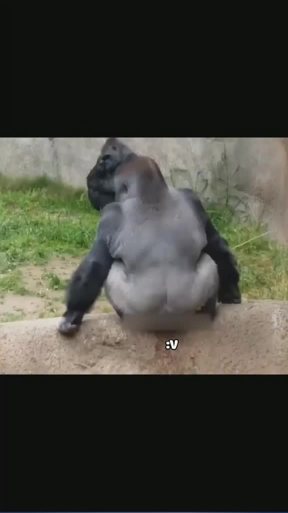 @Lee
