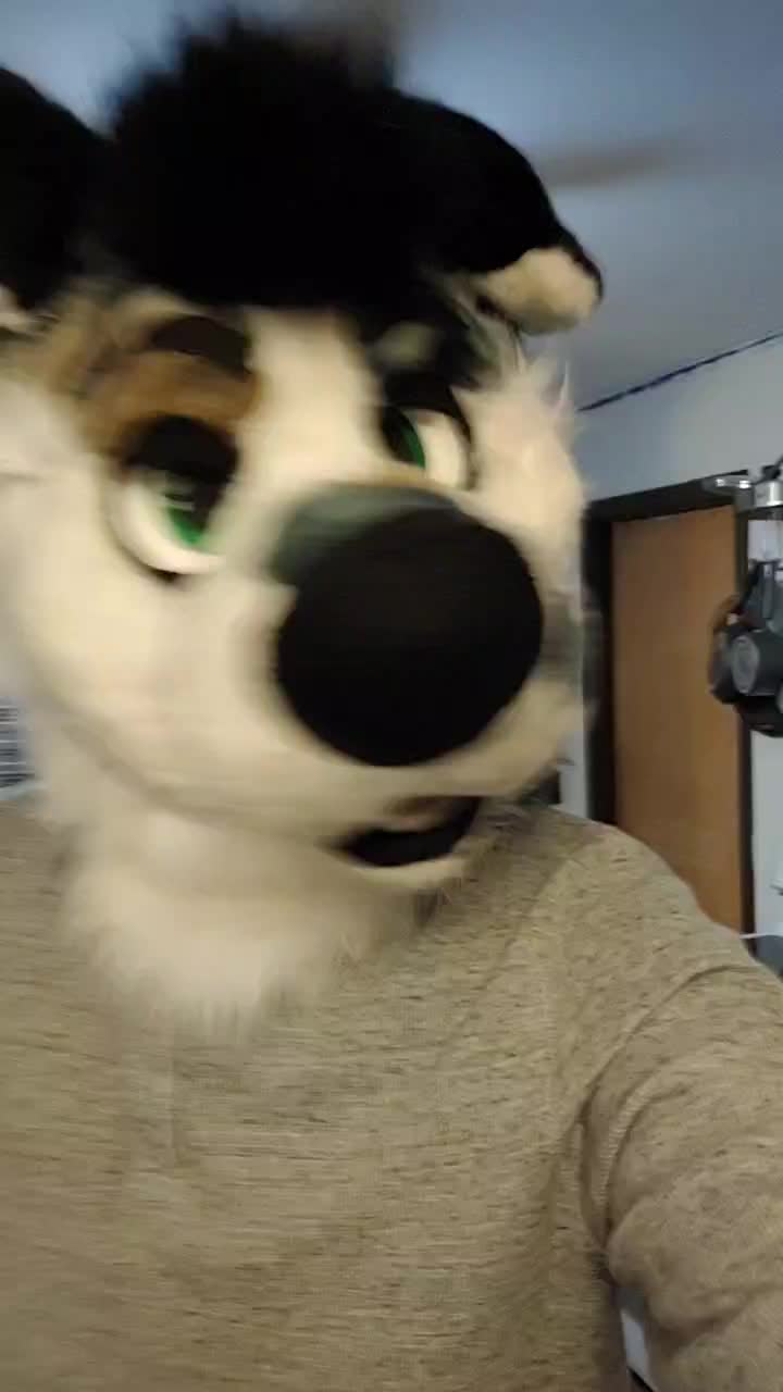 @Ryker_Mutt