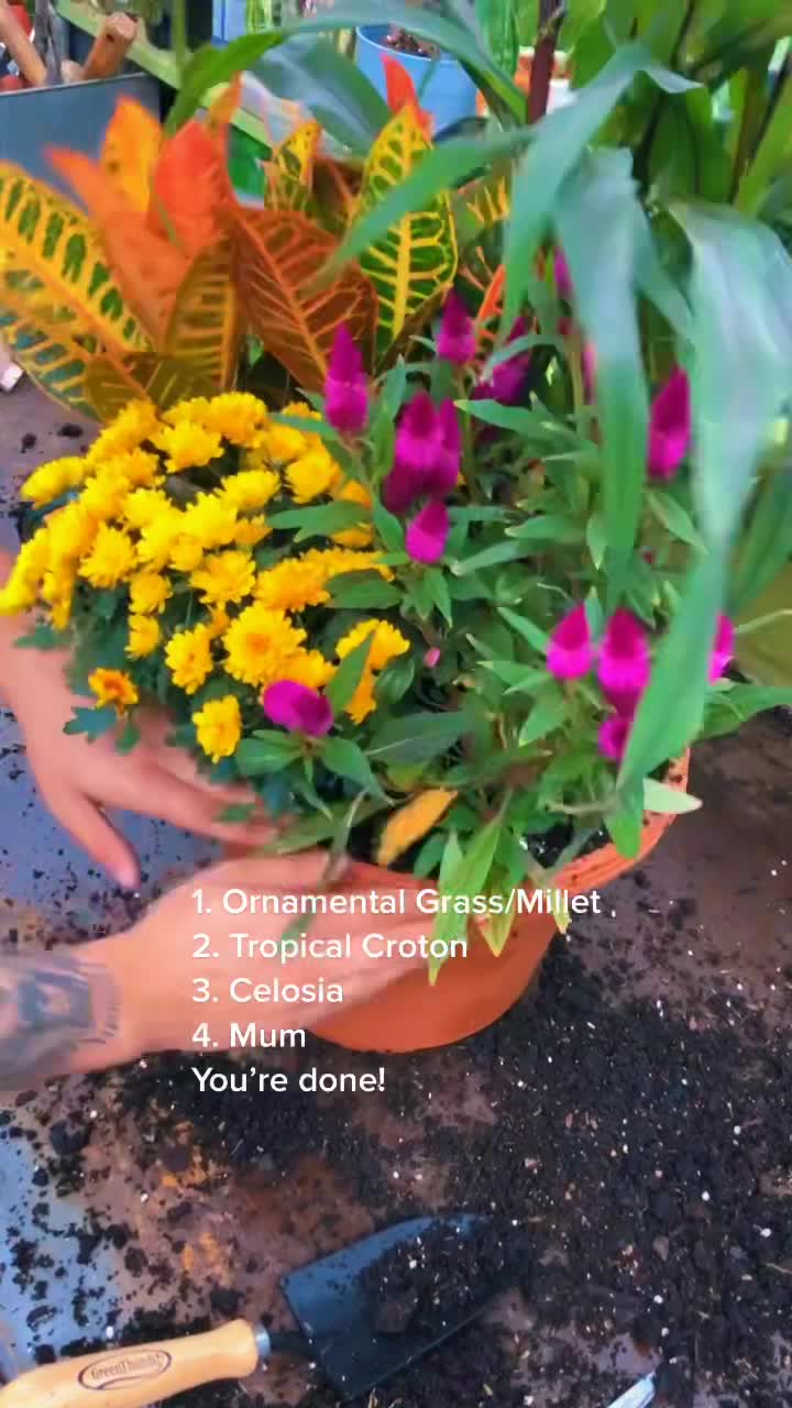 @Plants of Worth