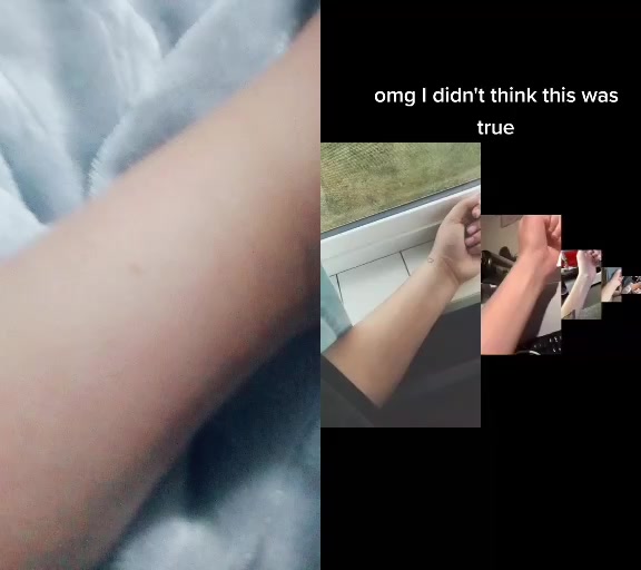 @s u n f l o w e r