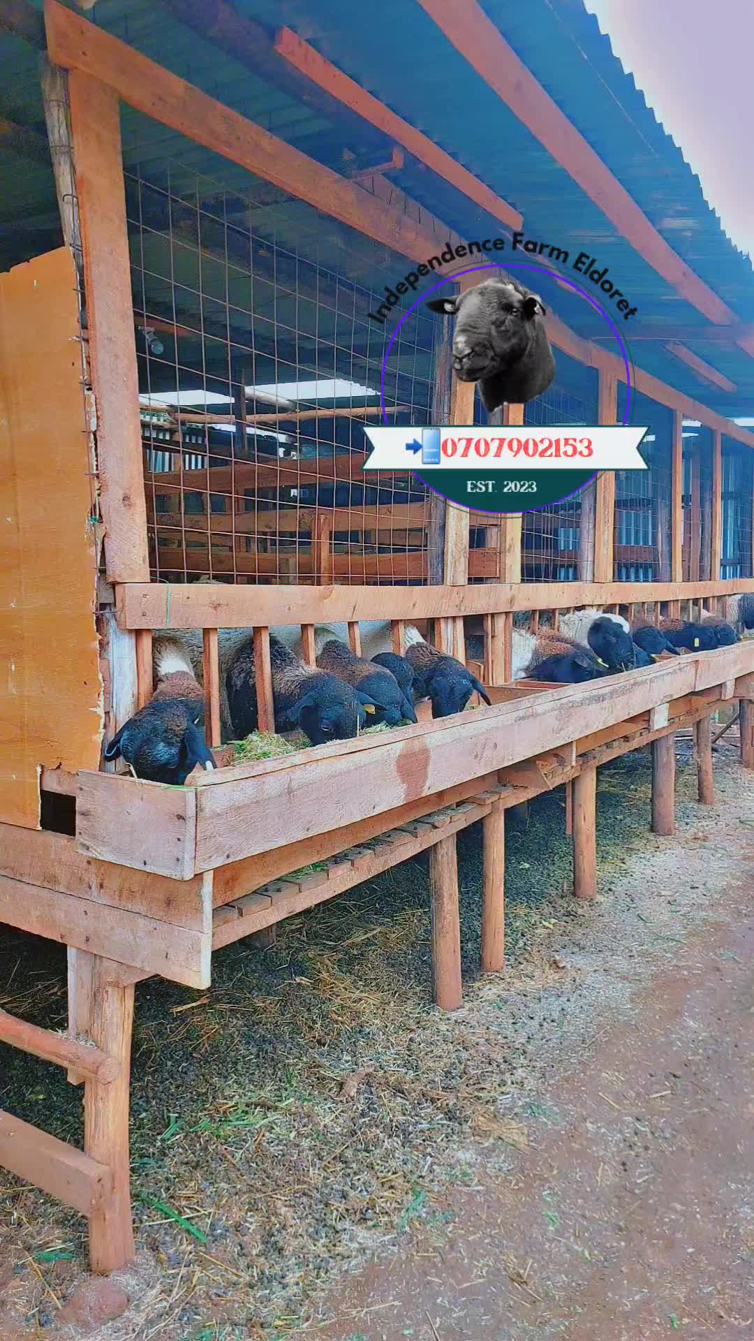 @✌️ INDEPENDENCE FARM ELDORET✌️
