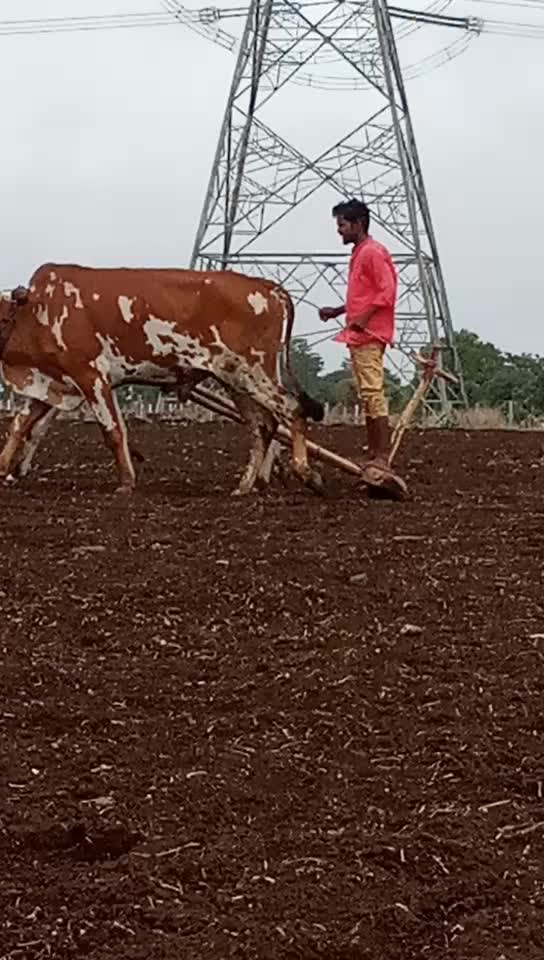 @a. shivakumaranna