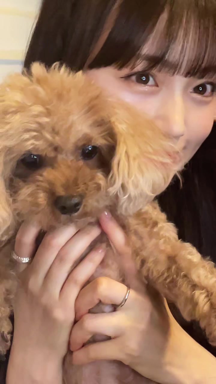 @中里 萌