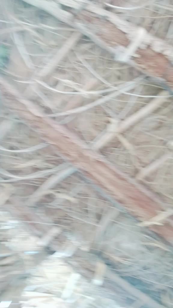 @user4228441397363